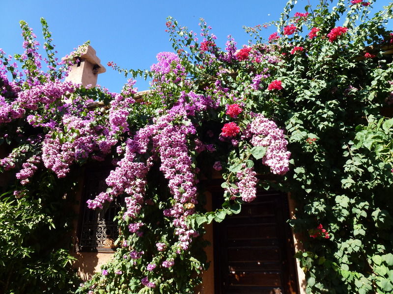 Auberge Chez Momo II Уирган Екстериор снимка